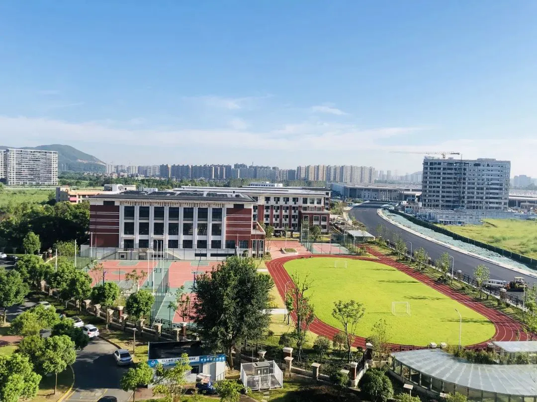篮球训练脚步垫子_1