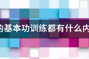 青少年篮球技术训练的基本要求包括哪些内容
